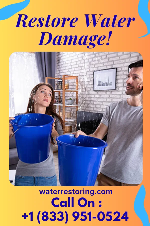 water restoration Extraction Specialists Carroll Valley