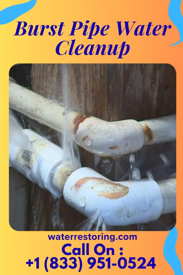Burst Pipe Water Cleanup in Carroll Valley, PA