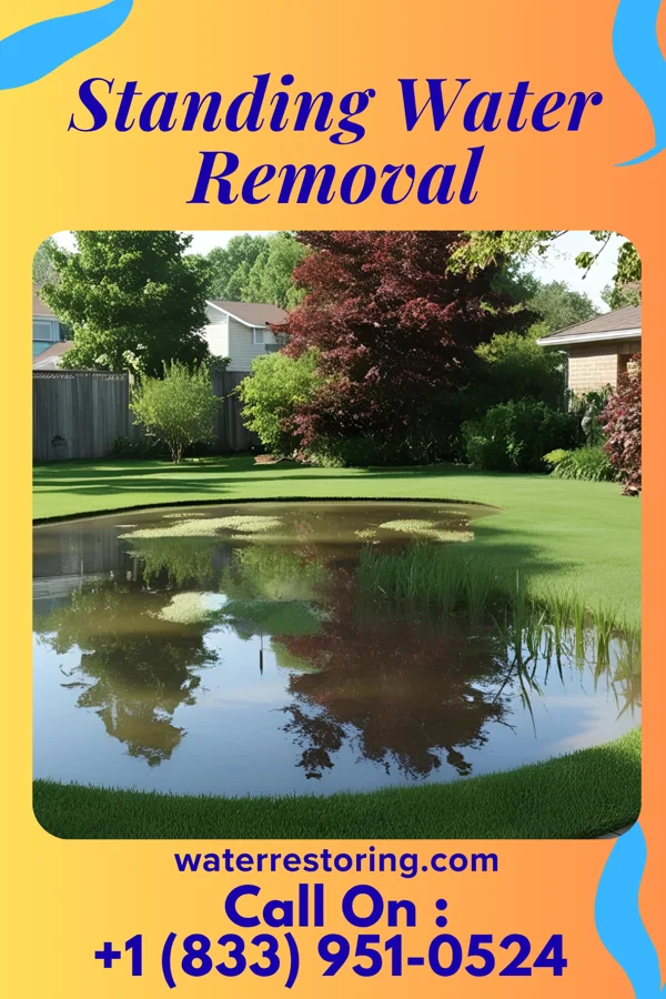 Standing Water Removal in Carroll Valley, PA